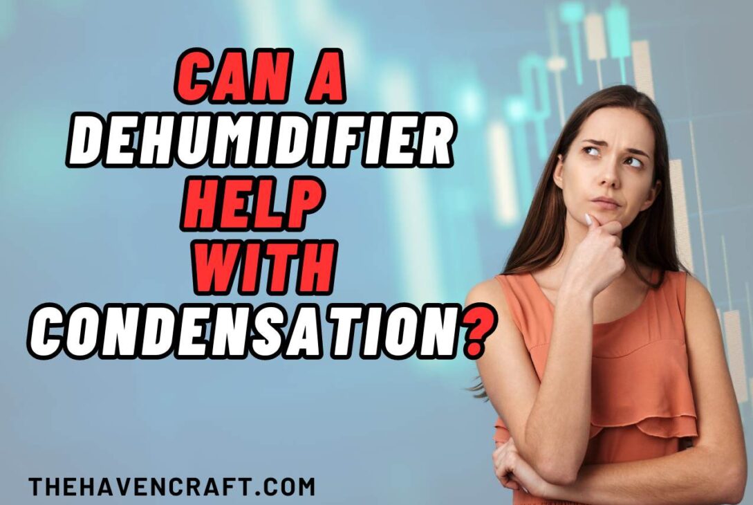 Can a Dehumidifier Help With Condensation?