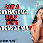 Can a Dehumidifier Help With Condensation?