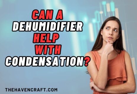 Can a Dehumidifier Help With Condensation?