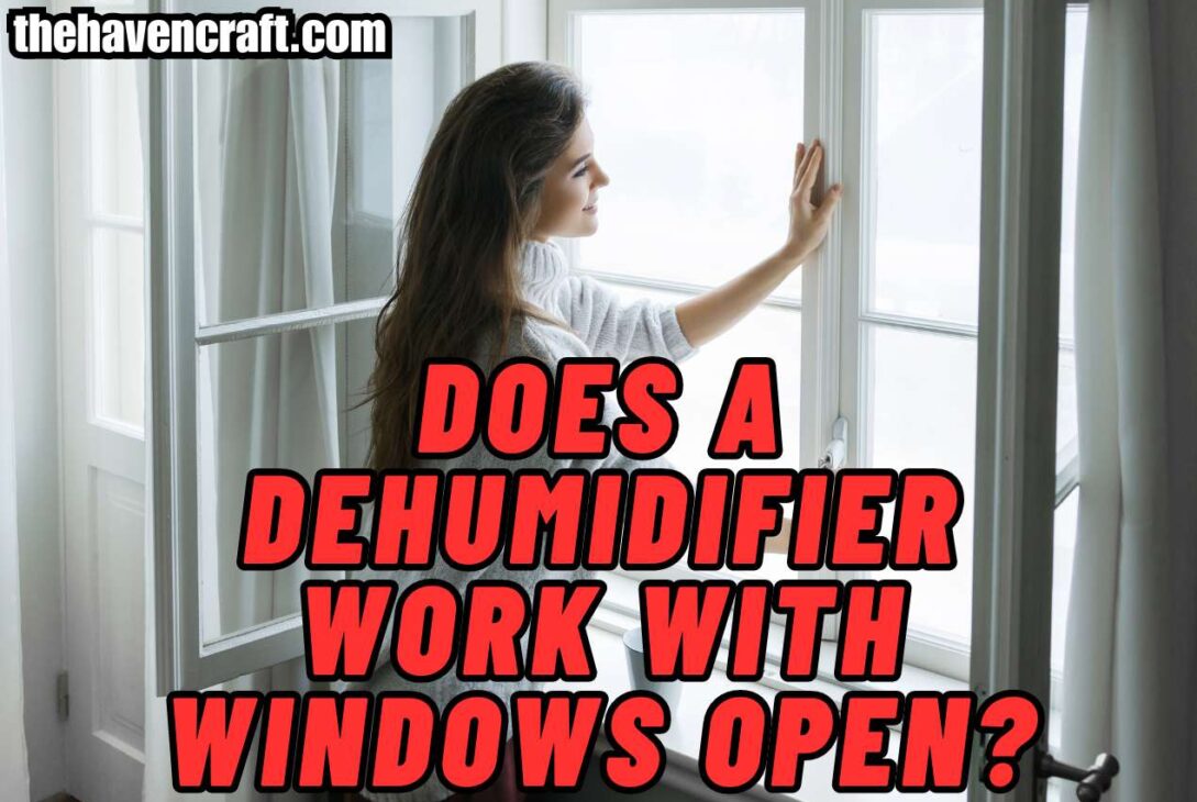 Does a Dehumidifier Work With Windows Open?