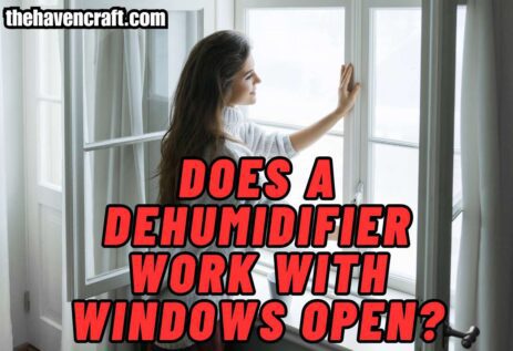 Does a Dehumidifier Work With Windows Open?