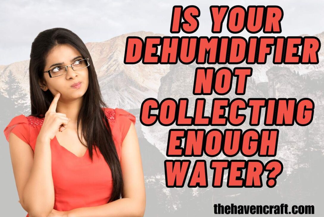 Is Your Dehumidifier Not Collecting Enough Water?