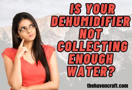 Is Your Dehumidifier Not Collecting Enough Water?